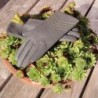 Gants en Cuir d'Agneau Charcoal Luciole Points Doublés Soie.